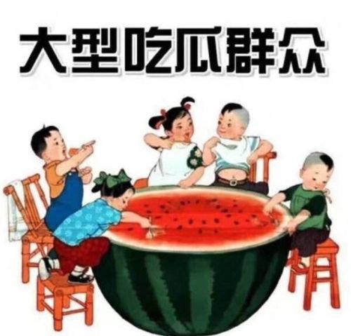 不舍昼夜吃瓜娱乐,揭秘不舍昼夜的娱乐盛宴